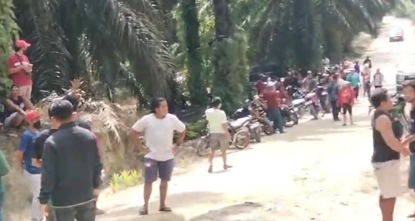 7-WhatsApp-02-18-2026_07_01_AM