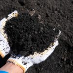 FABA di Lahan Gambut Inhil: Antara Narasi Berkah dan Risiko yang Diabaikan