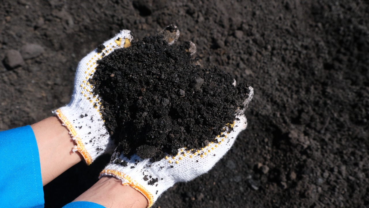 WhatsApp-Image-2022-12-31-at-17.46.40-1