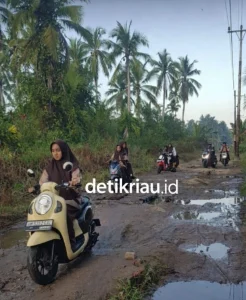 bc4e446c-1161-46a5-8e6a-a29875402bf4