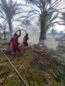 Karhutla Awal Tahun Tembus 1.041 Hektare, 11 Daerah di Riau Terdampak – Status Siaga Darurat Diperkuat