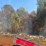 kebakaran-lahan-di-bengkalis-polis