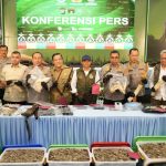 17725317681000515240