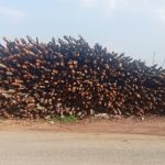 Screenshot_2026-03-25-11-14-31-84_6012fa4d4ddec268fc5c7112cbb265e7