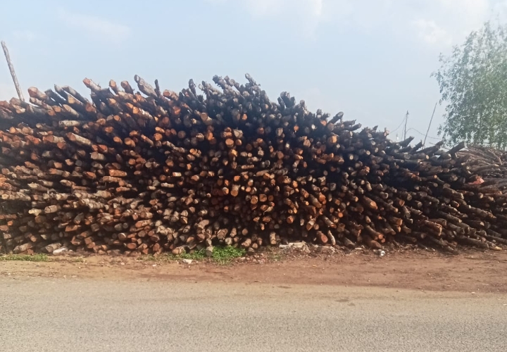 Screenshot_2026-03-25-11-14-31-84_6012fa4d4ddec268fc5c7112cbb265e7