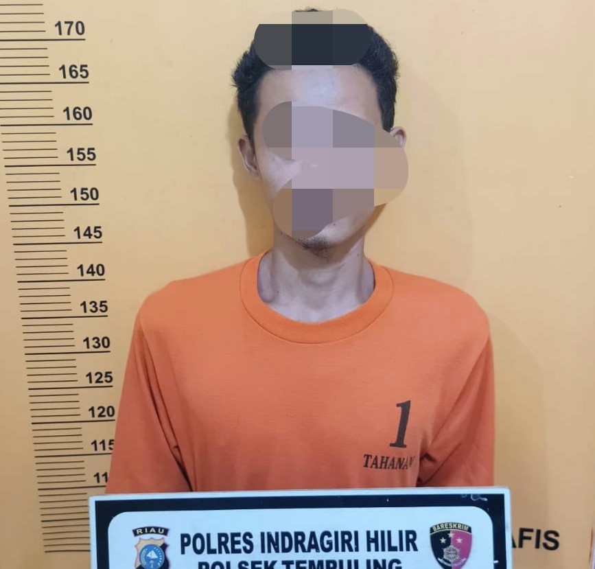 WhatsApp Image 2026-03-05 at 19.07.16