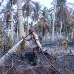 WhatsApp Image 2026-03-10 at 14.05.58 (2)