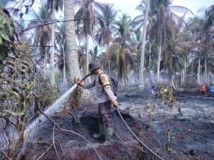 WhatsApp Image 2026-03-10 at 14.05.58 (2)