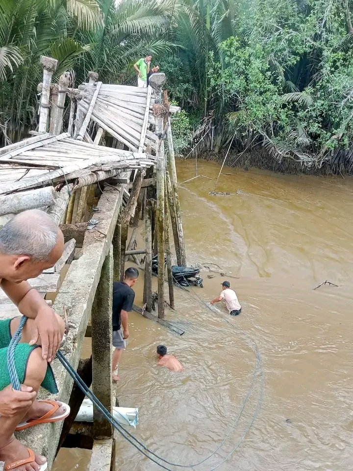 WhatsApp Image 2026-03-10 at 18.52.02