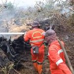 Ribuan Hektare Hutan Riau Terbakar, Pemadaman Berpacu dengan Cuaca Ekstrem