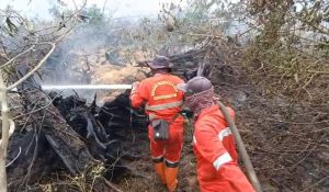 manggala-agni-tangani-ribuan-hektar