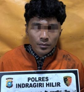 15bcca1a-1298-4d25-bb94-a0dcb6956592