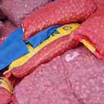 Diduga-Ilegal-Puluhan-Ton-Komoditas-Hortikultura-Dari-Tanjung-Pinang-Diamankan-di-Tembilahan-Bidik-Kasus-04-01-2026_07_59_PM