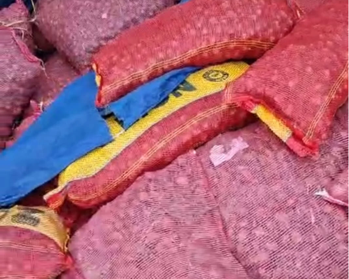 Diduga-Ilegal-Puluhan-Ton-Komoditas-Hortikultura-Dari-Tanjung-Pinang-Diamankan-di-Tembilahan-Bidik-Kasus-04-01-2026_07_59_PM