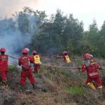 Karhutla Mendekati Permukiman, Warga Rupat Utara Dibayangi Ancaman Api