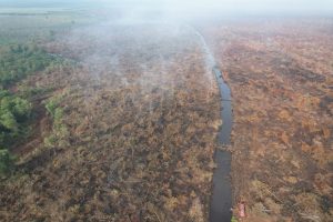 polisi-ringkus-pembakar-lahan-di-te